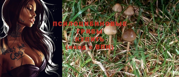 альфа пвп VHQ Белокуриха
