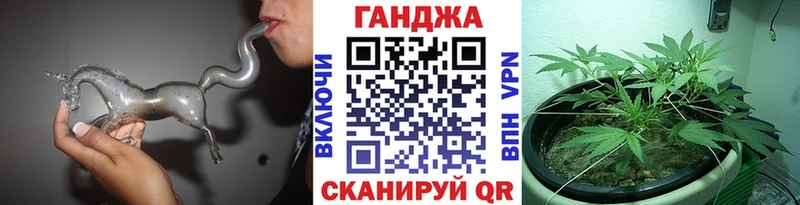 Бошки марихуана гибрид блэк спрут как войти Болхов